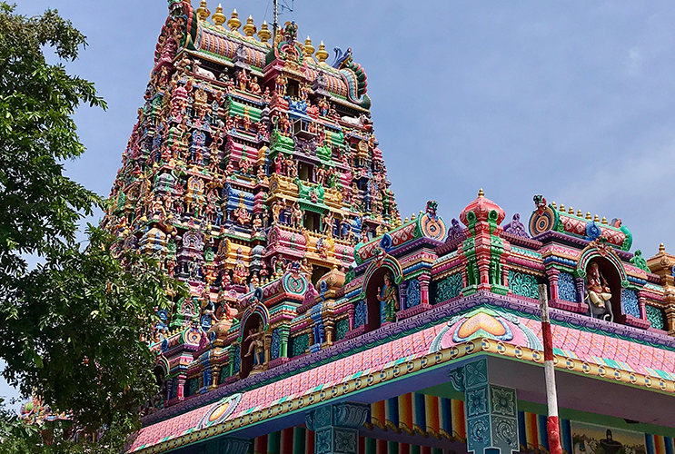 Service Image